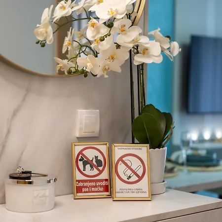 Apartment Invivo Lux