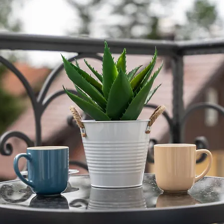 Apartment Invivo Lux