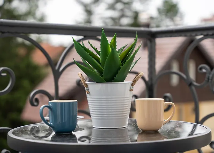 Apartamento Invivo Lux