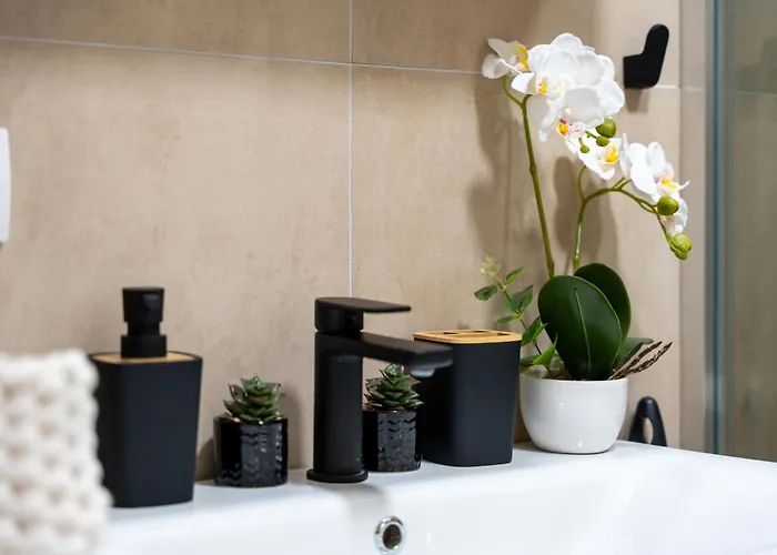 Invivo Lux Apartamento *